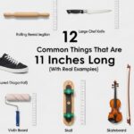 12 Common Things That Are 11 Inches Long With Real Examples