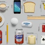 13 Common Things That Are 6 Inches Long